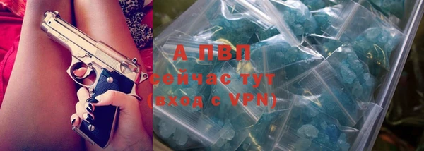 ALPHA PVP Ельня